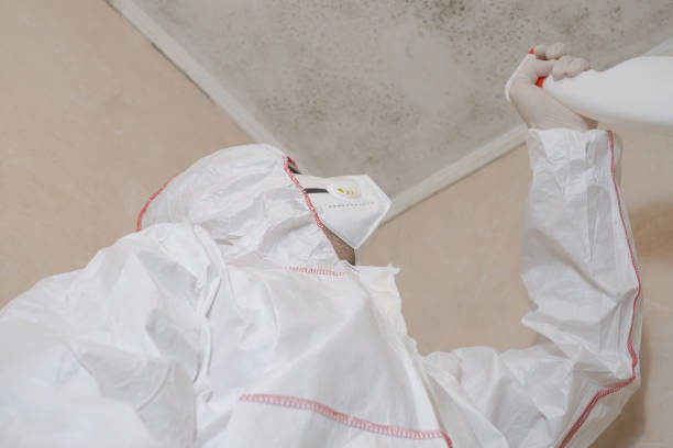Best Toxic Mold Removal  in Seabrook, MD